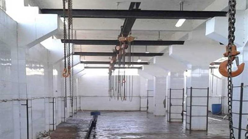 رفع كفاءة مجزر الفكرية