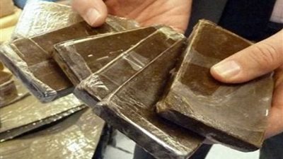 ضبط عاطلين بحوزتهما 125 قطعة حشيش بالبحيرة