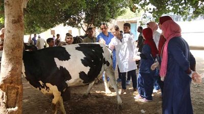 جامعة أسيوط تختتم أعمال قوافلها البيطرية العلاجية بمختلف مراكز المحافظة