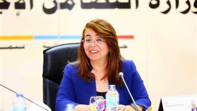 والى: 2.641 مليار جنيه نفقة للمطلقات من صندوق تأمين الأسرة ودراسة لمنع مديني النفقة من السفر