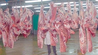 ذبح 1450 رأس ماشية بمجازر المنيا وتحرير 27 محضرًا للمخالفين