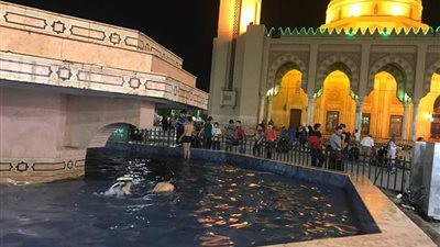 عوم البطة - وبهجة العيد فى نافورة مسجد البدوى بطنطا