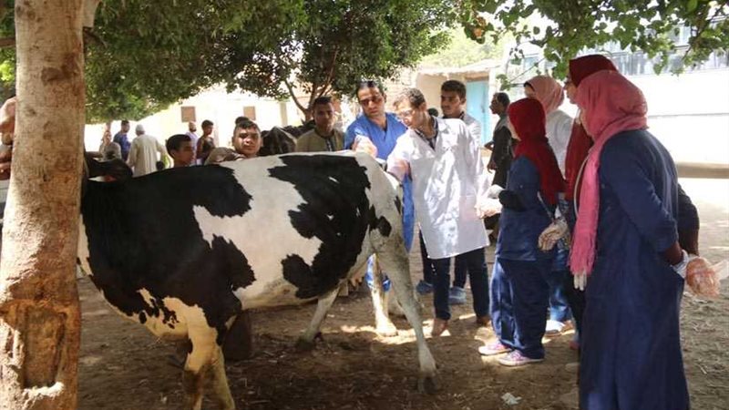 جامعة أسيوط تختتم