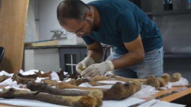 ننشر نتائج الدراسات