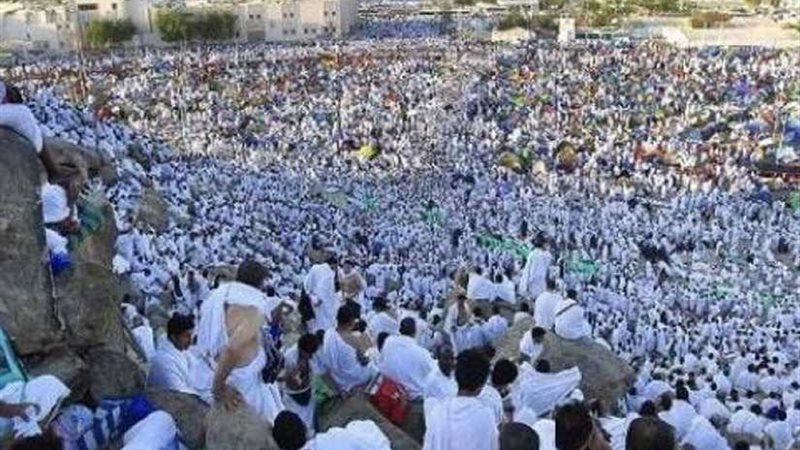 السعودية تصدر 1352