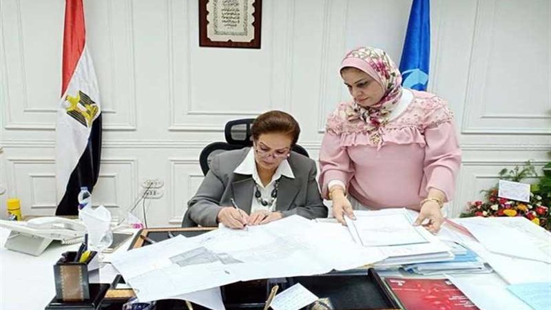 اعتماد المخططات التفصيلية