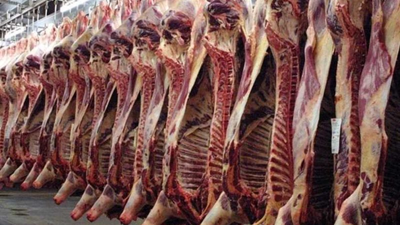 الوزراء ينفي زيادة