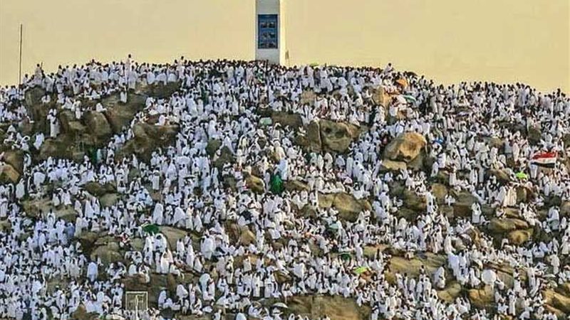 وزير الصحة السعودى