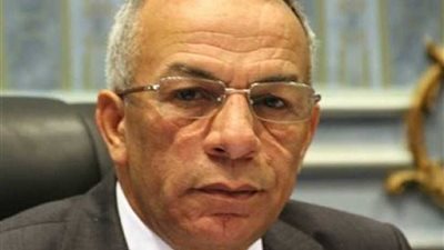 محافظ شمال سيناء: تنفيذ 76 مشروعًا بـ 125 مليون جنيه