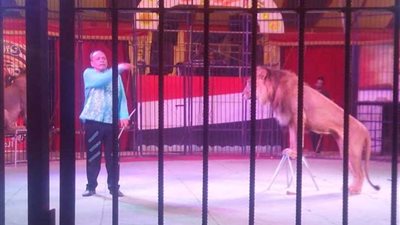 إقبال جماهيري غير مسبوق علي السيرك القومي بمدينة 15 مايو في العيد