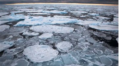 آخر مساحة جليدية متكاملة على الأرض تتشقق..تأكل منها 65ألف كيلو خلال أسبوعين