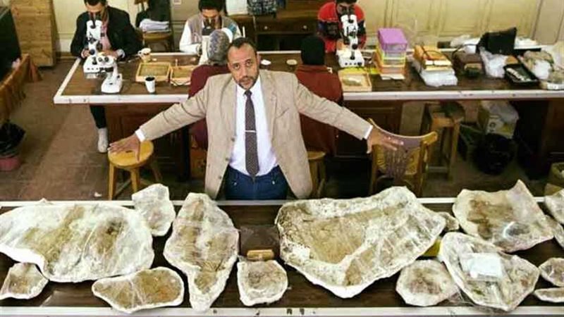 مدير مركز حفريات