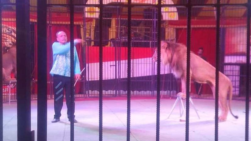 إقبال جماهيري غير