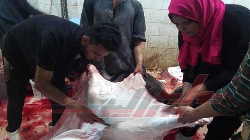 مروة أول فتاه بأسيوط