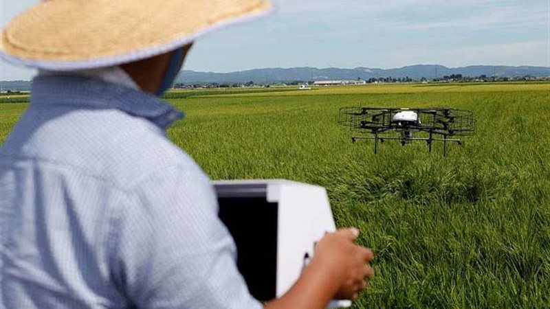 يحدث فى كوكب اليابان