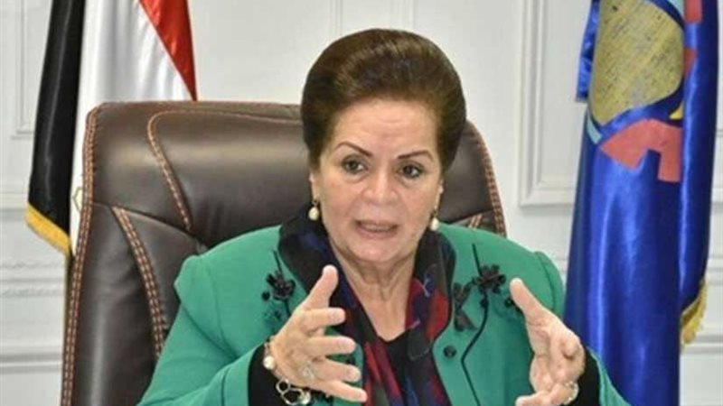 محافظ البحيرة: إعانة