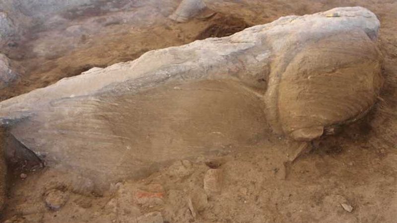 اكتشاف أبوالهول جديد