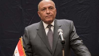 وزير الخارجية ورئيس المخابرات يلتقيان رئيس الوزراء الإثيوبي بأديس أبابا