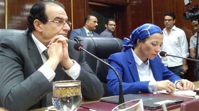 وزيرة البيئة تصل الدقهلية لمواجهة السحابة السوداء