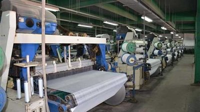 محافظ الإسماعيلية يتفقد المنطقة الصناعية