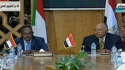 الدرديري: تم الإعداد للجنة عليا مشتركة تجمع الرئيس السيسي والبشير في منتصف أكتوبر المقبل (فيديو)