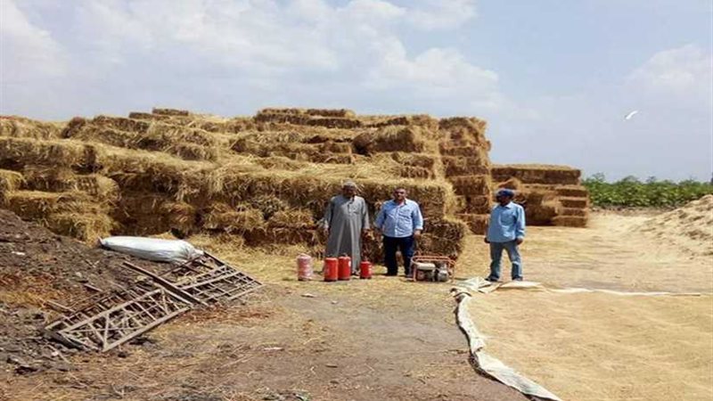 البيئة تضاعف جهودها