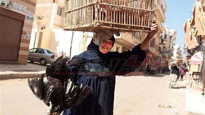 المرأة كل المجتمع 