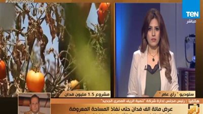 شروط وخطوات الحصول على أرض من 