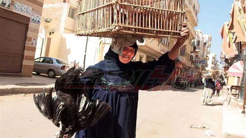 المرأة كل المجتمع