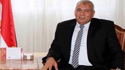 محافظ الوادي الجديد: تشغيل مباني الوحدات المحلية بالطاقة الشمسية