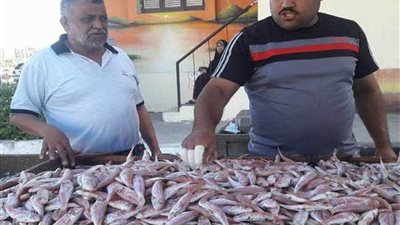 سوق الأسماك الجديد نقلة حضارية للقضاء على العشوائيات