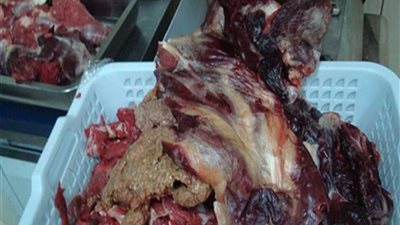 ضبط 42 طنا من اللحوم غير صالحة للاستهلاك الآدمي بالخليفة
