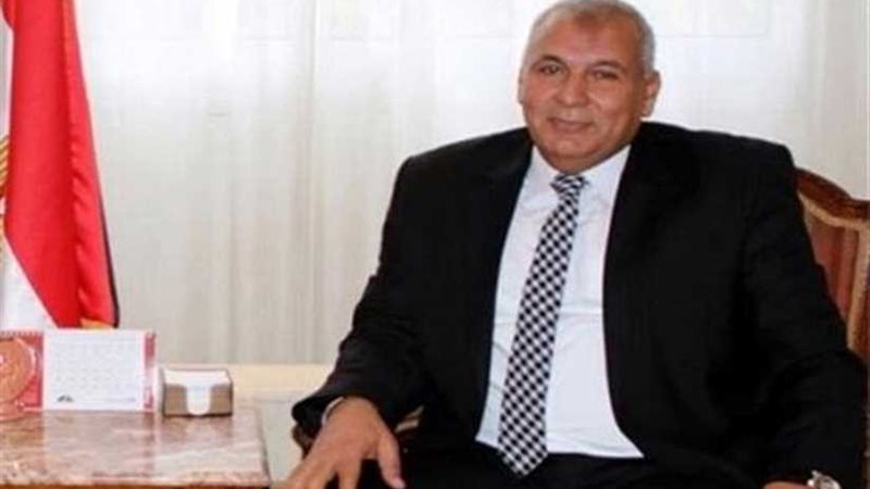 محافظ الوادي الجديد: