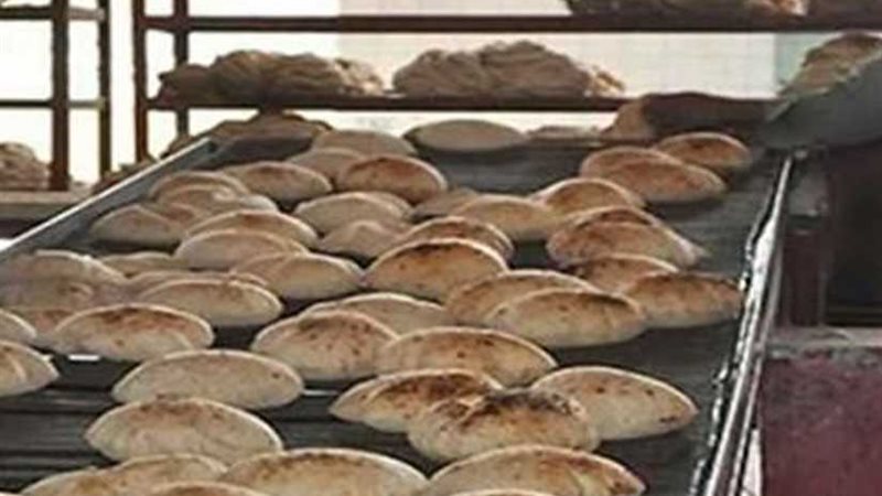 17 مخالفة تموينية