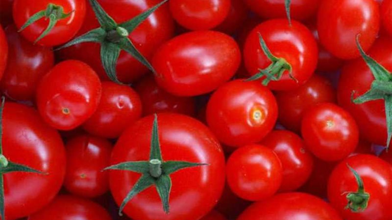 الزراعة تنفي ضبط