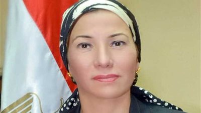 غدا .. وزير البيئة تزور محافظة البحيرة لبحث الاستعدادات لمواجهة السحابة السوداء