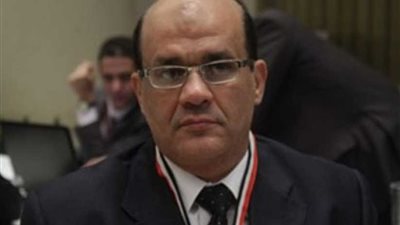 النائب طارق متولي: جولة الرئيس السيسي الآسيوية تروِّج لمصر كمنطقة آمنة للاستثمار العالمي