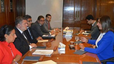 الحكومة تخطط للتأمين على المصريين بالخارج في حالات الوفاة