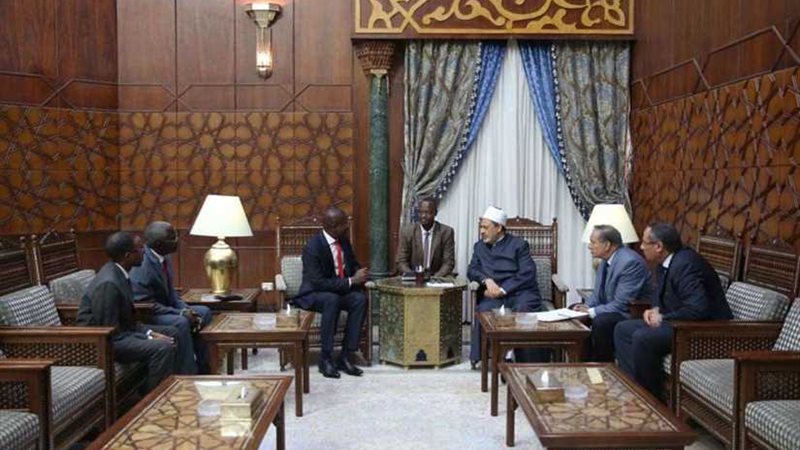 الإمام الأكبر: جهود