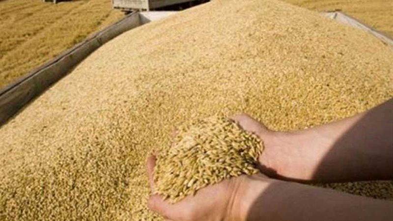 مصر تتعاقد على شراء