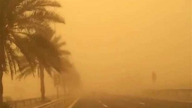 طوارئ بالأقصر استعدادا