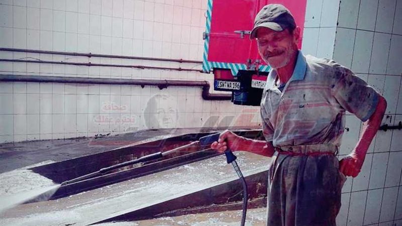 عم مسعد ستيني.. علم