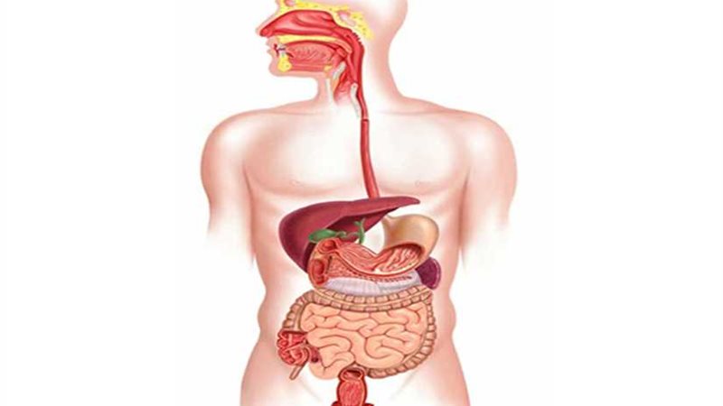 الجمعة: الاجتماع