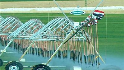 الحكومة: تنفيذ ٧٥ مشروعا في قطاع الزراعة بتكلفة ١٧,٥مليار جنيه