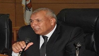 محافظ الوادي الجديد: التعاقدات وفتح الأسواق عادت بالربح على المزارعين