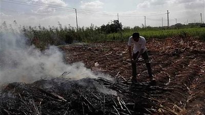 السيطرة على حريق في تشوينات حطب ذرة بتمي الأمديد