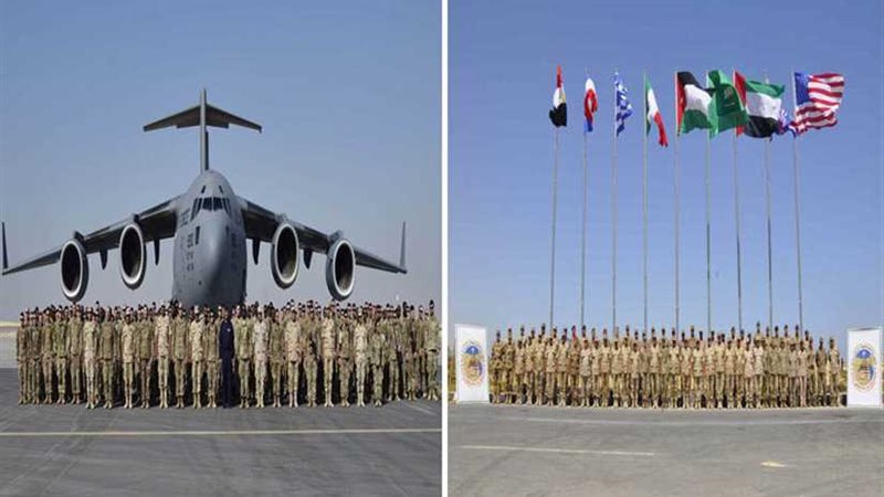  محمد نجيب ..أكبر