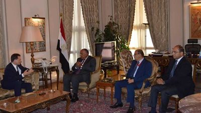 شكري يؤكد على الدعم المصري لـ