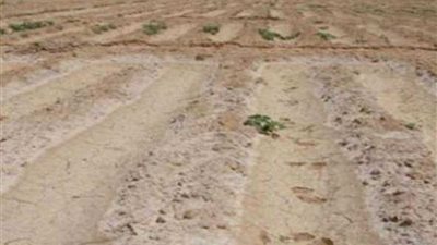 27 سبتمبر مهلة أخيرة لطالبى تقنين أراضى الدولة بـ