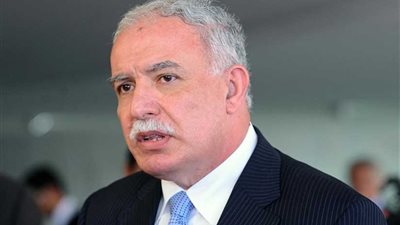 المالكي يحذر من خطورة قرار أمريكا بوقف الدعم المالي للأونروا